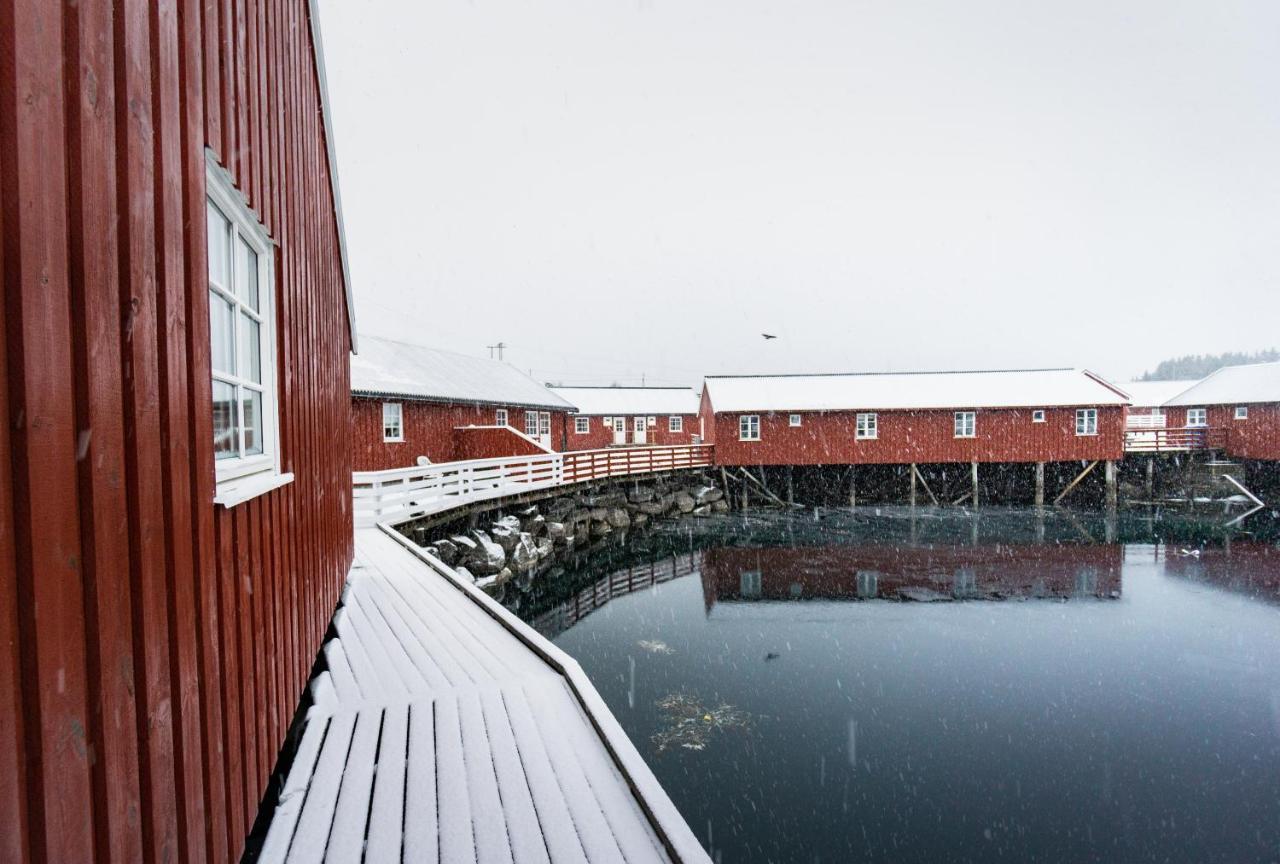 Lofoten Cabin And Kayak Rental Stamsund Exteriér fotografie