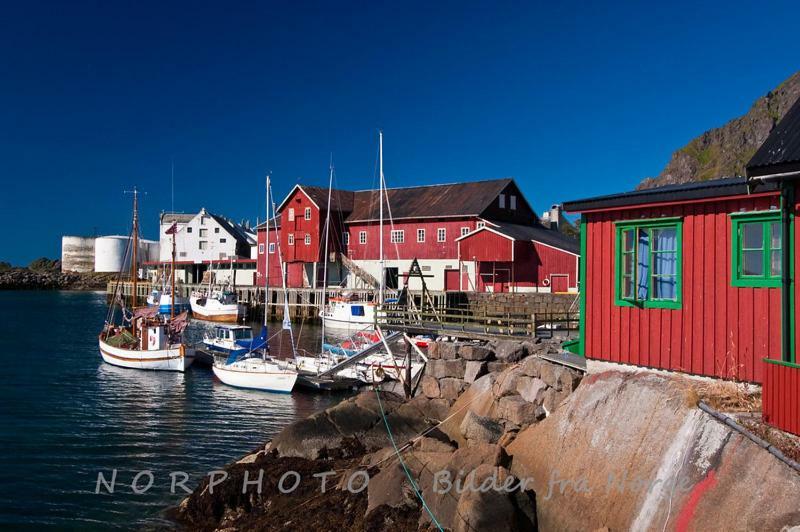 Lofoten Cabin And Kayak Rental Stamsund Exteriér fotografie